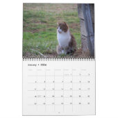 Landenkatten Kalender (Jan 2026)