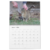 Landenkatten Kalender (Mar 2026)