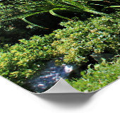 Landenkooipad Poster (Hoek)