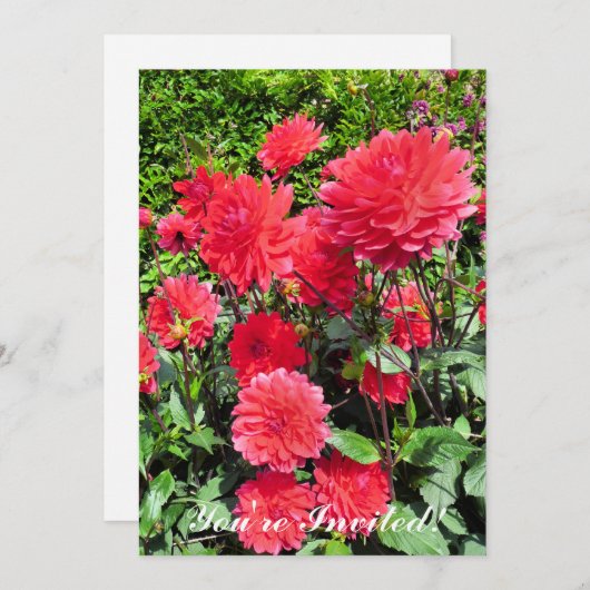 LANDENLANDBOUWSTROMEN KAART (Voorkant / Achterkant)