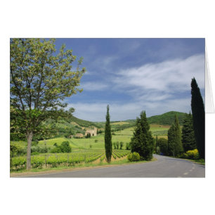 Landenstreep tussen cyperbomen in