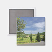 Landenstreep tussen cyperbomen in magneet (Voorkant / Achterkant)