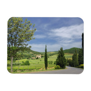 Landenstreep tussen cyperbomen in magneet