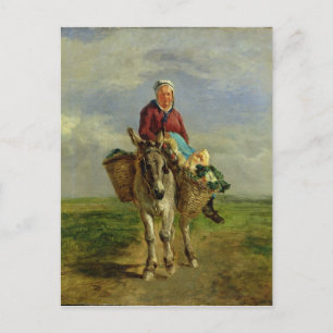 Landenvrouw die een Donkey bestuurt Briefkaart