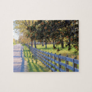 Landenweg ... Neem me mee naar huis - 8x10 Legpuzzel