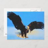 Landing Bald American Eagle Briefkaart (Voorkant / Achterkant)