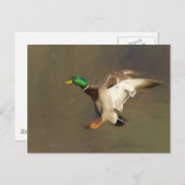 Landing Drake Briefkaart (Voorkant / Achterkant)