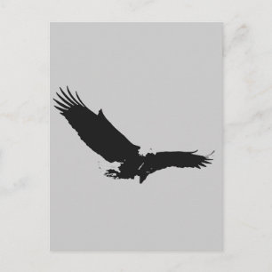 Landing Eagle Silhouette Briefkaart