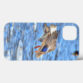 Landing Mallard Duck Wildlife Foto Case-Mate iPhone Case (Achterkant (horizontaal))