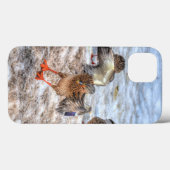 Landing Mallard Duck Wildlife Foto Case-Mate iPhone Case (Achterkant (horizontaal))