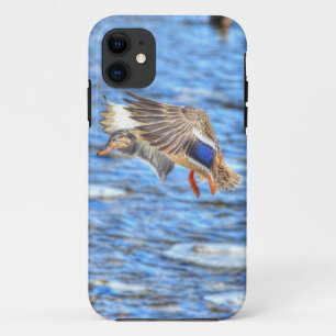 Landing Mallard Duck Wildlife Foto iPhone 11 Hoesje