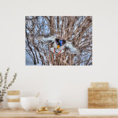 Landingsfoto Mallard Duck Wildlife Poster (Keuken)