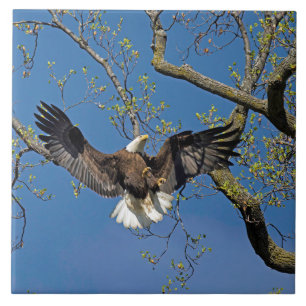 Landingsmethode Tegeltje