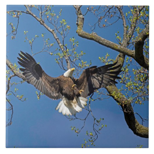 Landingsmethode Tegeltje (Voorkant)