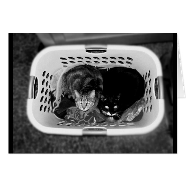 Landry Basket Katten B+W (Voorkant Horizontaal)