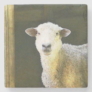 Landschaap Stenen Onderzetter