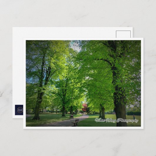 Landschap 1 Briefkaart (Voorkant / Achterkant)