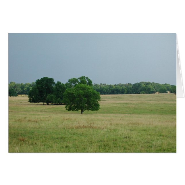 Landschap Alabama (Voorkant Horizontaal)