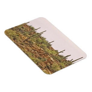 Landschap Arizona Cactus Magneet
