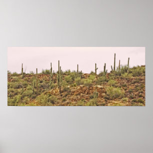 Landschap Arizona cactus Poster