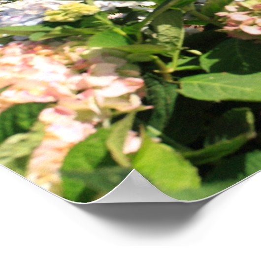 Landschap Azoren Poster (Hoek)