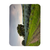 Landschap Blauwe Agave Magneet (Verticaal)