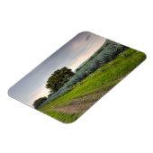 Landschap Blauwe Agave Magneet (Linkerzijde)