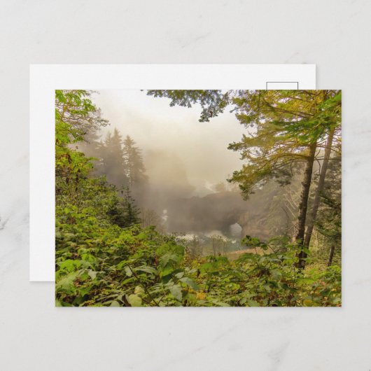 Landschap bos en oceaan briefkaart (Voorkant / Achterkant)