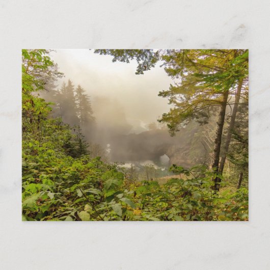 Landschap bos en oceaan briefkaart (Voorkant)