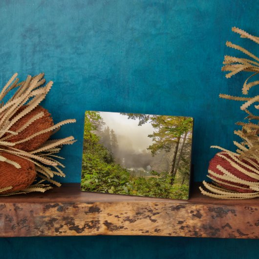 Landschap bos en oceaan fotoplaat (Zijkant)