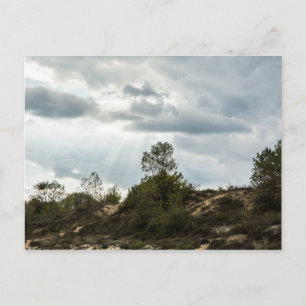 Landschap Briefkaart