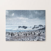 Landschap Chinstrap Penguin Colony Legpuzzel (Horizontaal)
