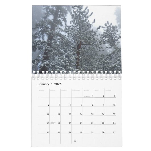 Landschap en bloemen Agenda Kalender (Jan 2026)