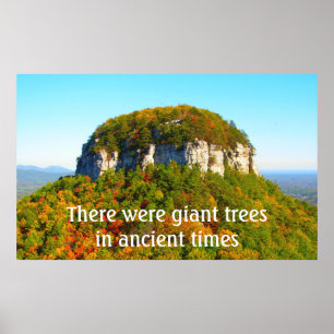 Landschap en bomen van Pilot Mountan Poster