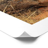 Landschap Fay Canyon Poster (Hoek)