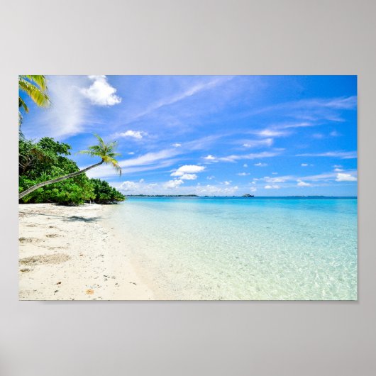 Landschap Fotografie van bomen op de Shoreline Poster (Voorkant)