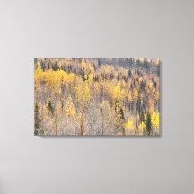 Landschap Geel Sinaasappel Alaska Herfst Canvas Pr