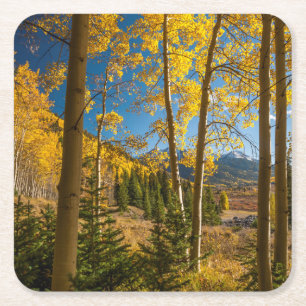 Landschap in San Juan Mountains Vierkante Kartonnen Onderzetter