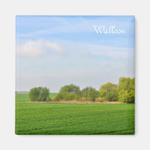 landschap in Wallonië, provincie Luik Magneet