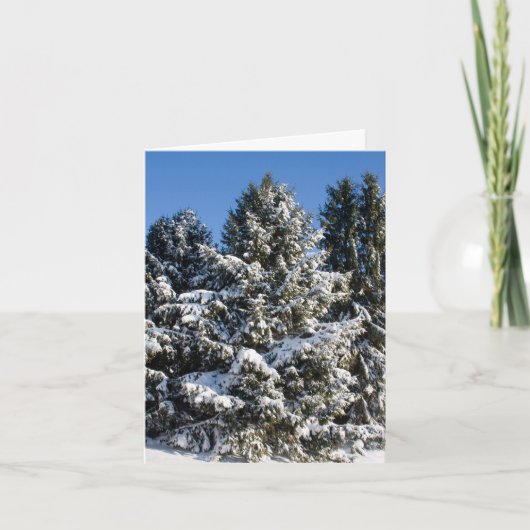 Landschap Kerst Kaarten (Voorkant)