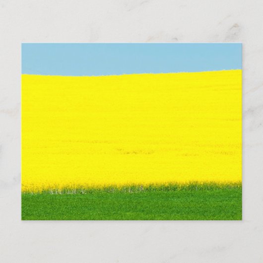 Landschap Meadow Flyer (Voorkant)