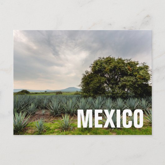 Landschap met blauw Agave Briefkaart (Voorkant)
