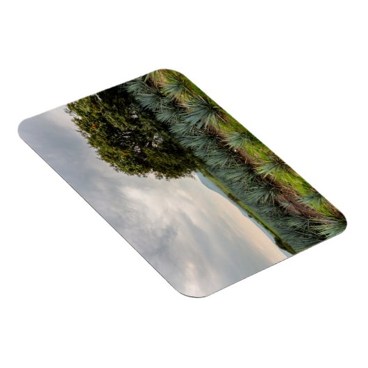 Landschap met blauw Agave Magneet (Rechterzijde)