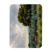 Landschap met blauw Agave Magneet (Verticaal)