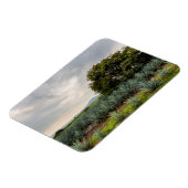 Landschap met blauw Agave Magneet (Linkerzijde)