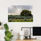 Landschap met blauw Agave Poster (Thuiskantoor)