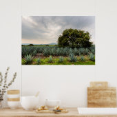 Landschap met blauw Agave Poster (Keuken)