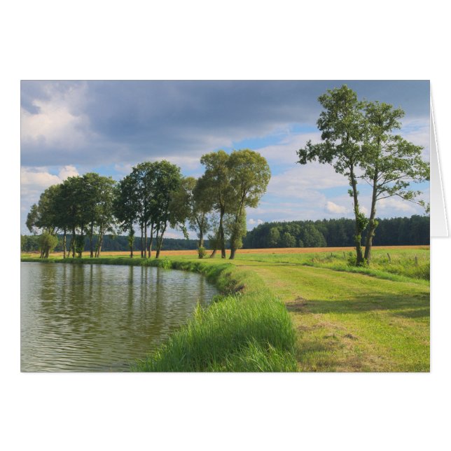 Landschap met bomen (Voorkant Horizontaal)