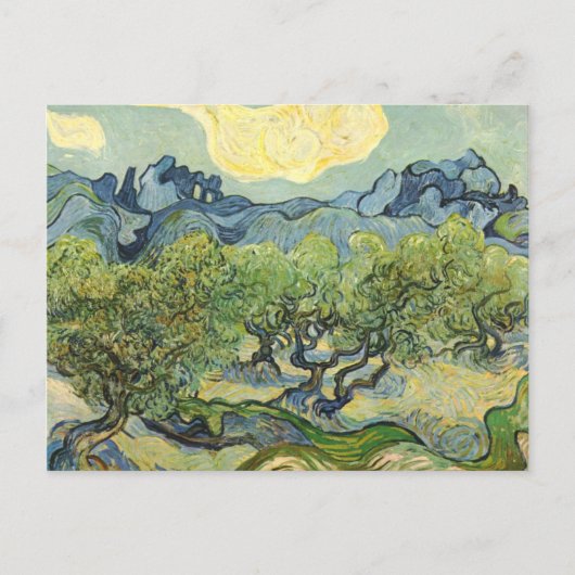 Landschap met Olive Vincent Willem van Gogh Briefkaart (Voorkant)