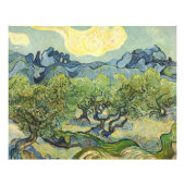 Landschap met Olive Vincent Willem van Gogh Foto Afdruk (Voorkant)